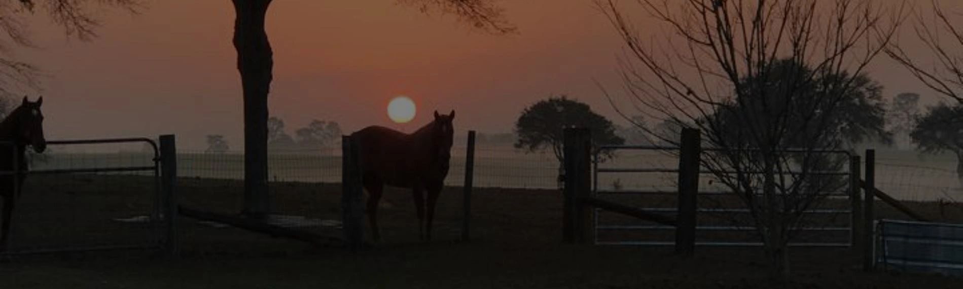 Southern Redhead Farms Rescue, Inc.